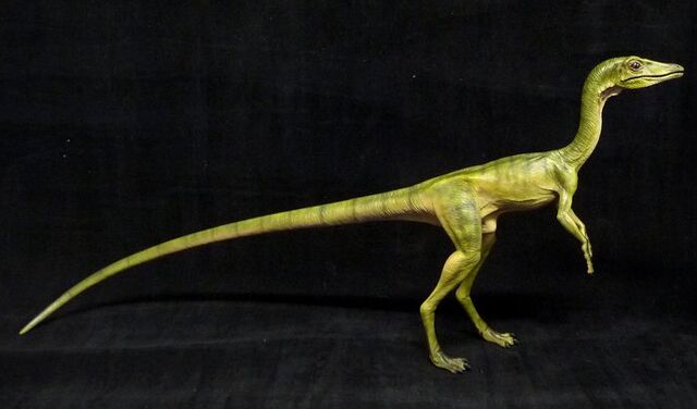File:Compsognathus marquette.jpg