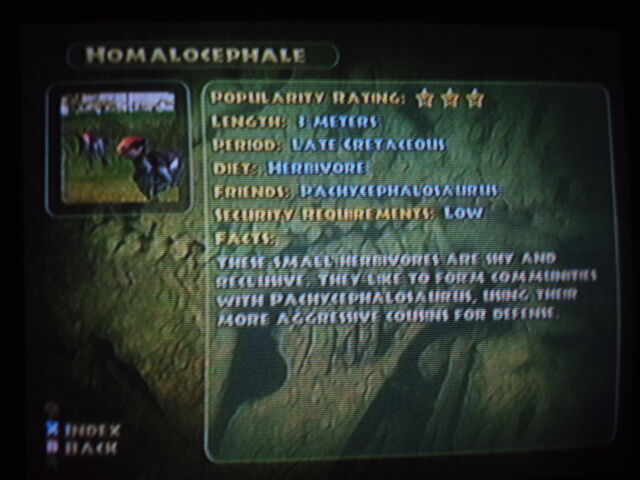 File:Homalocephale info.jpg