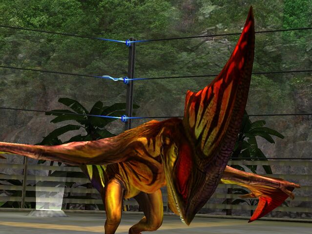 File:Tapejara lvl. 40.jpeg