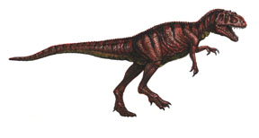 Metriacanthosaurus (2).jpg