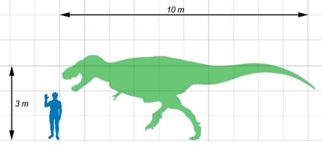Datei:ScaleTarbosaurus.jpg