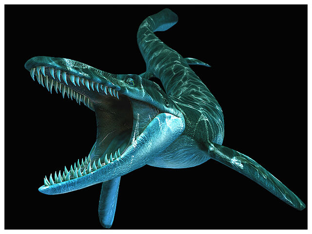 File:Tylosaurus2.jpg