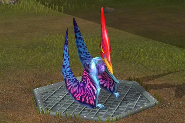 File:Ptero lvl 40.jpg