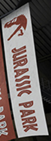 File:Spinosauridjwconceptart.png