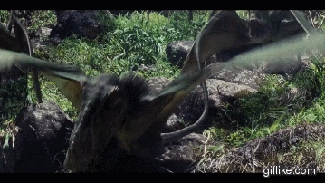 Image - Dimorphodon JW (65).gif | Jurassic Park wiki | FANDOM powered by Wikia