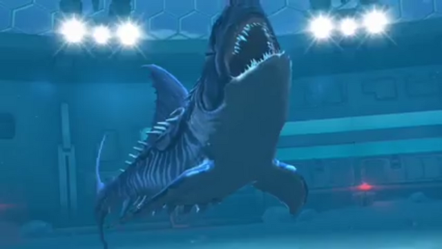 File:SharkJWTG.png