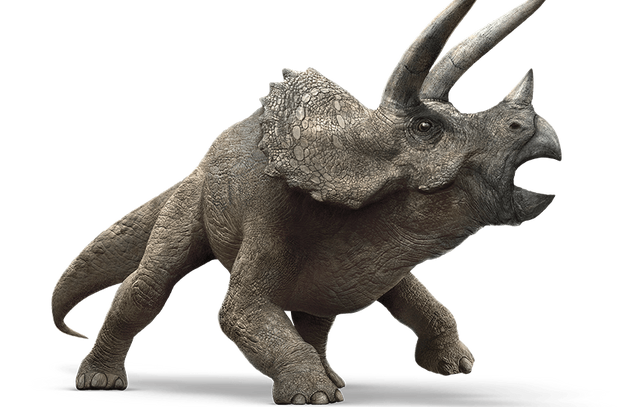 Datei:Triceratops.png