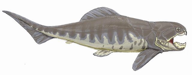 File:Dunkleosteus2.jpg
