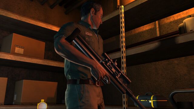 File:Tranqrifle1.jpg