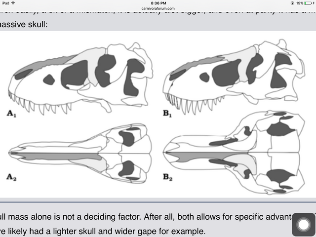File:Trextarbo.png