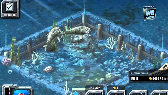 File:Level11xiphac.jpg