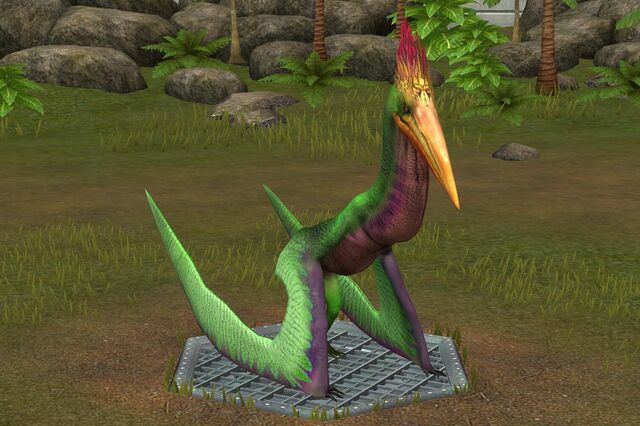 File:Pelecanipteryx (12).jpg