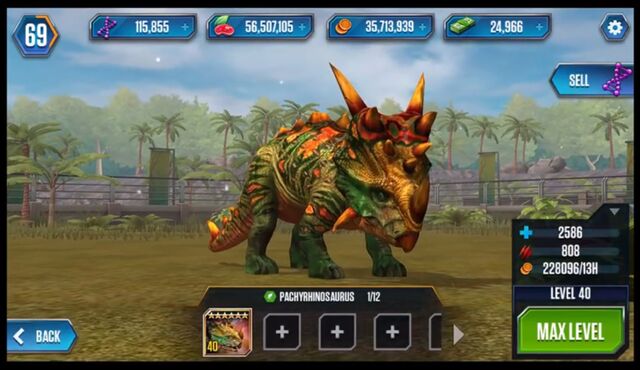 File:Pachyrhinosaurusmax.jpeg