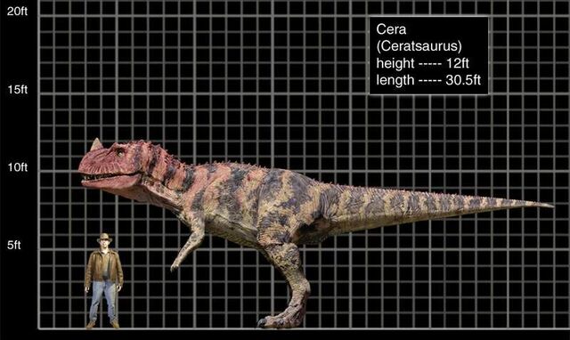 Archivo:Ceratosaurus comparacion.jpg