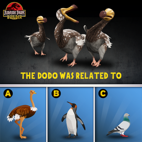 File:JPB Dodo quiz.png