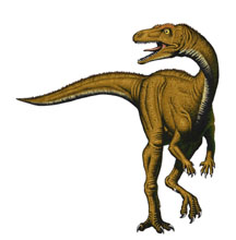Procompsognathus.jpg