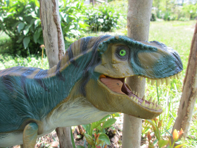 File:Bullrex2.jpg