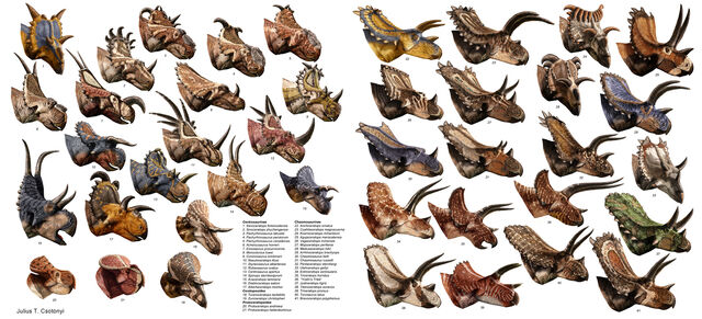 File:Csotonyi ceratopsians 1300.jpg