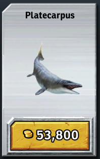 JPB-Platecarpus (1).png