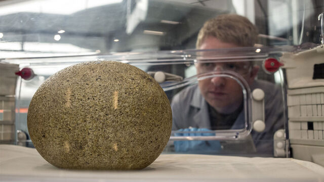 File:Big-egg.jpg