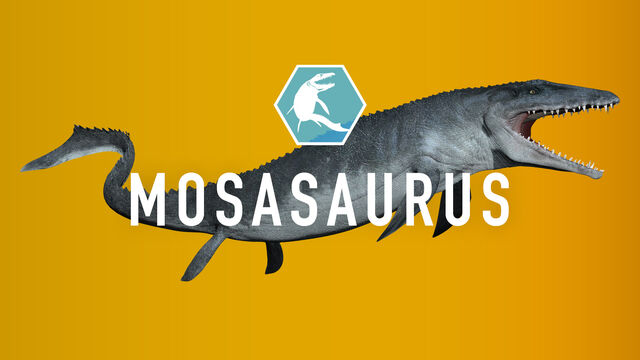 File:Mosasaurus.jpg