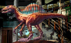 Spino jup-582.jpg
