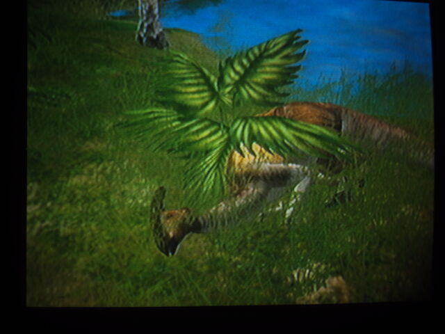 File:Parasaurolophus sleeping.jpg