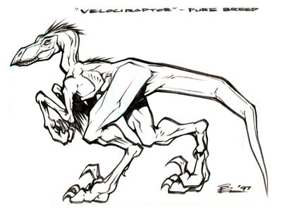 Raptor alpha