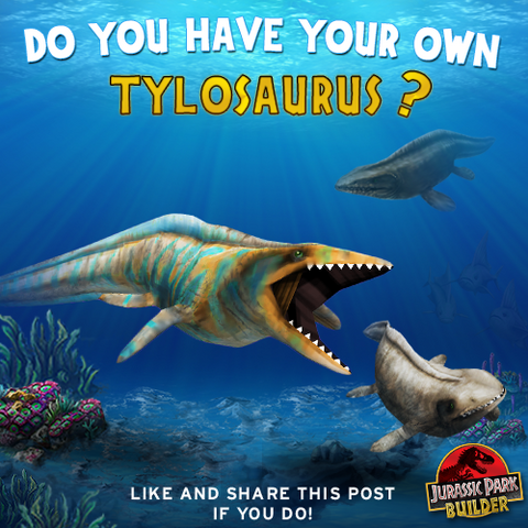File:1184876 515610675194522 557486580 n.png
