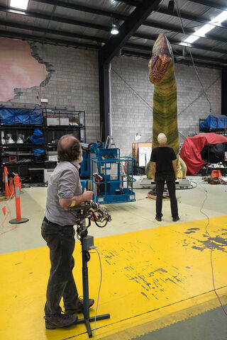 File:Brachiosaurus Brancai (87).jpg