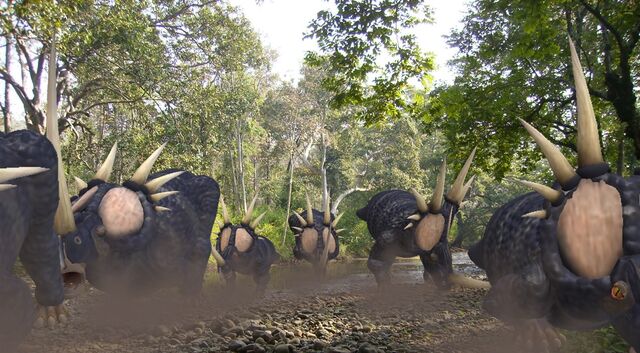 File:Styracosaurus JW2.jpg