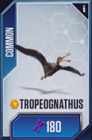Tropeognathus
