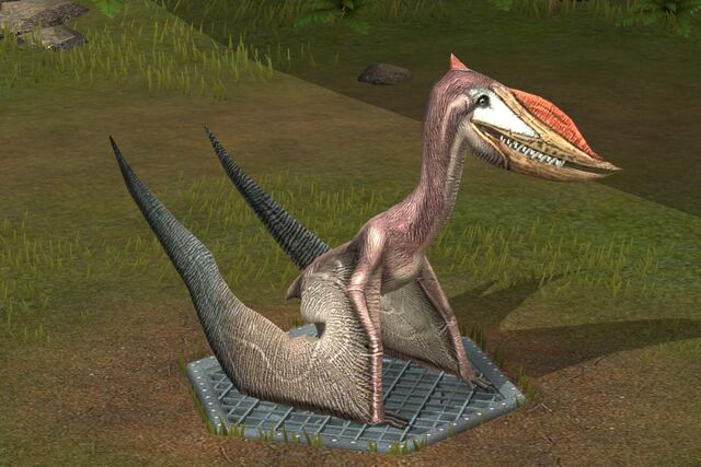 File:Dsungaripterus (17).jpg
