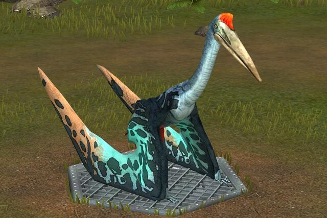 File:Quetzalcoatlus (84).jpg