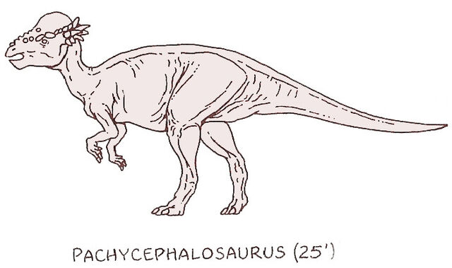 File:Pachycephalosaurus by PonchoFirewalker01.jpg