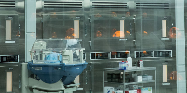 File:Hatching-station.jpg