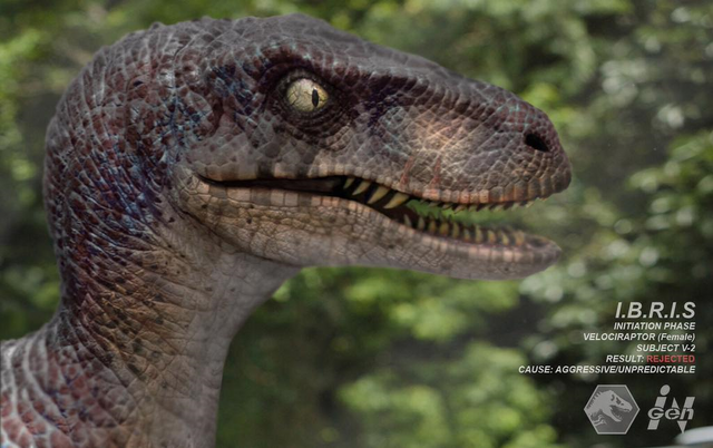 File:Untitledraptor.png