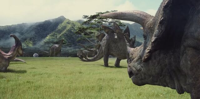 File:Herbivores.jpeg