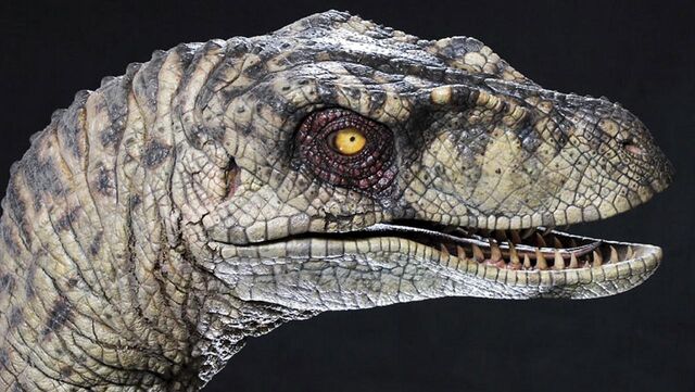 File:Realjurassic4-xlarge.jpg