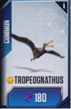 Tropeo.jpg