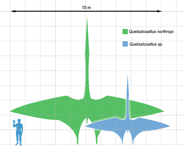 File:Quetzscale1.png