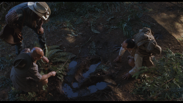 File:Screenshot-lrg-16.png