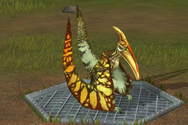 File:Pterodactylus (31).jpg