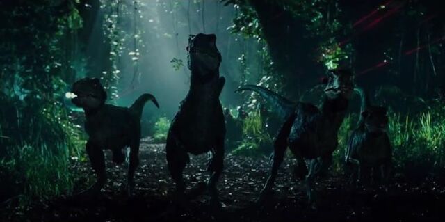 File:Raptors hunting.jpg