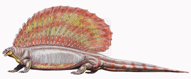 Archivo:Edaphosaurus cruciger by DiBgd.jpg