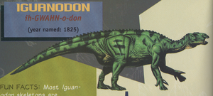 Iguanodon3