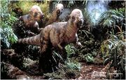 Pachycephalosaurus group.jpg