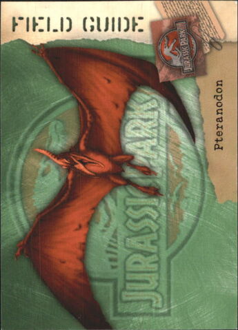 File:2001 Jurassic Park III 3-D 58 Pteranodon front.jpg