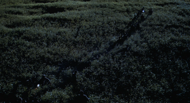 File:Long-Grass1.png
