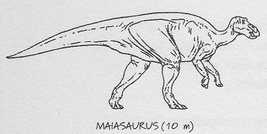 Maiasaurus